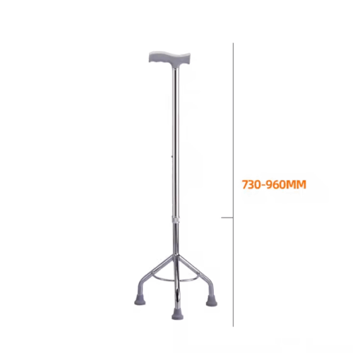 Walking Stick - Image 2