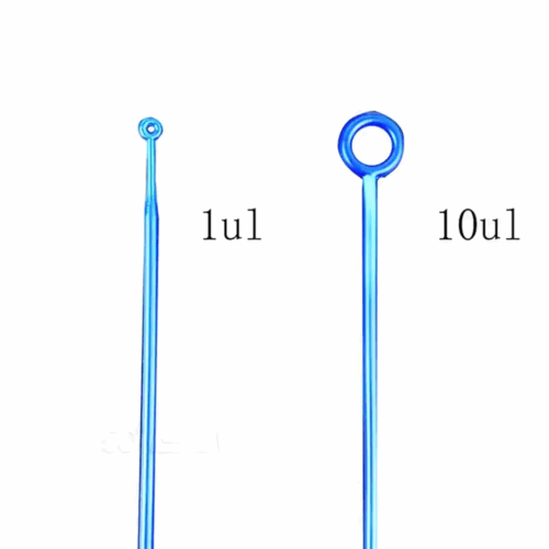Inoculation Loop - Image 2