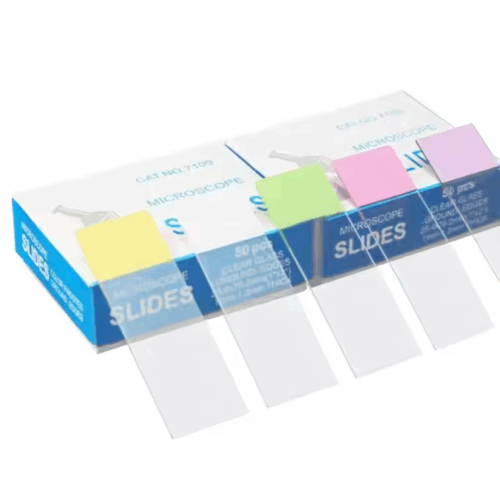 Microscope Slide