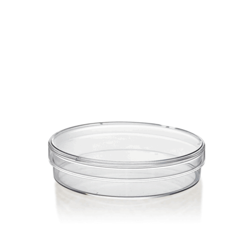 Petri Dish