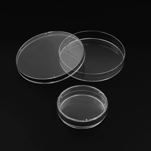 Petri Dish - Image 2