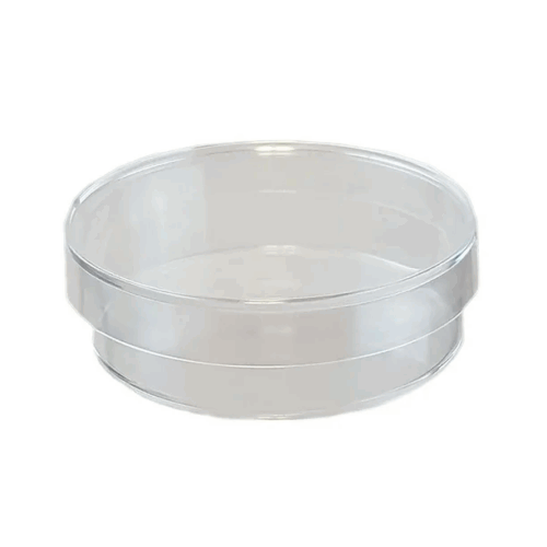 Petri Dish - Image 2