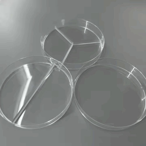 E.O sterile Petri Dish 1 room, 2 rooms,3 rooms - Image 2