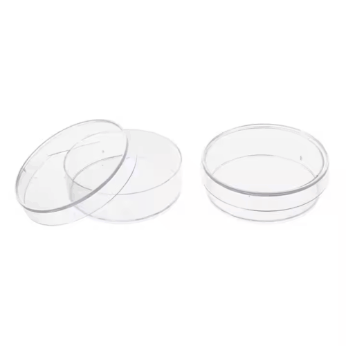 Petri Dish - Image 3