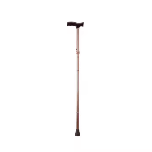 Walking Stick