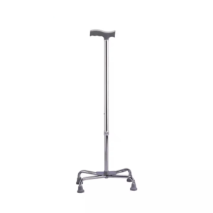 Walking Stick