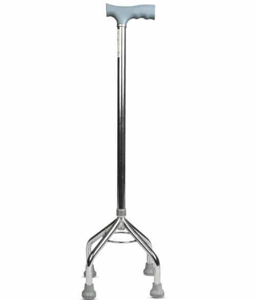 Walking Stick
