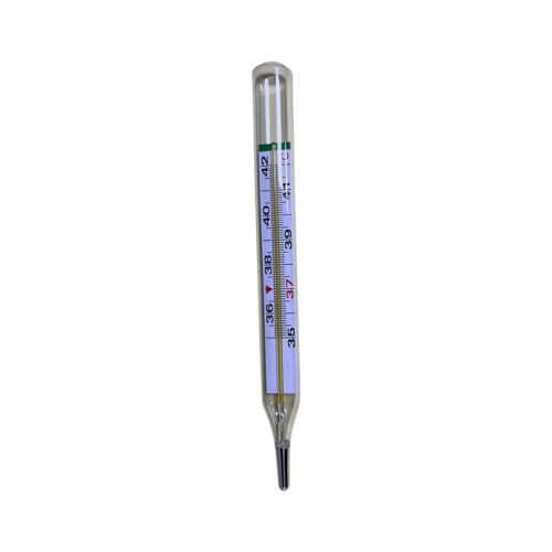 Clinical Thermometer(Glass) - Image 2