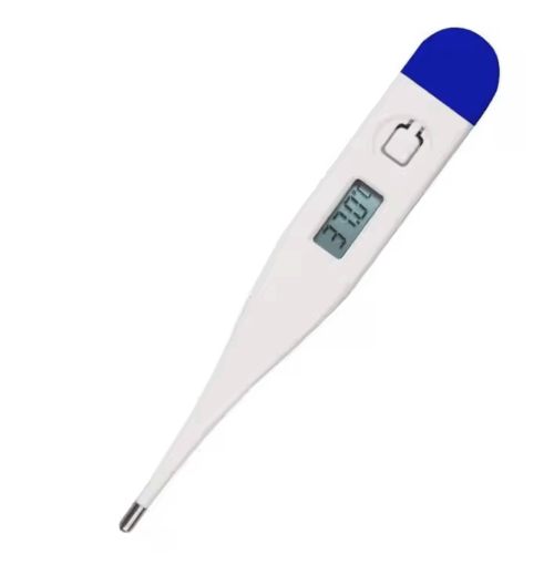 Digital Thermometer (3-digit) - Image 2